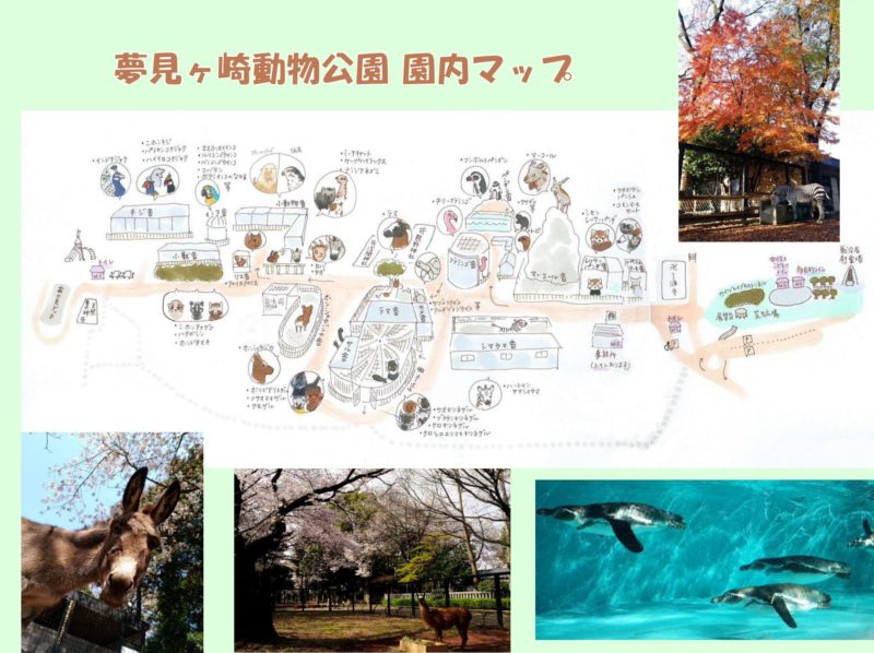 夢見ヶ崎動物公園の園内マップ