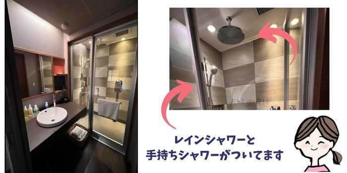 界アルプスの客室のシャワールームには、レインシャワーと手持ちシャワーの２つがあります。